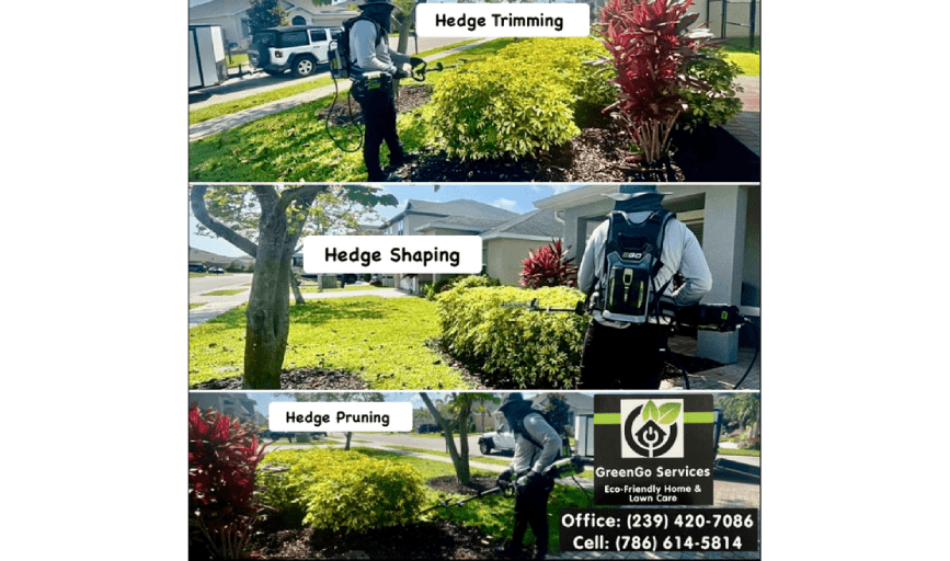 GreenGo Services